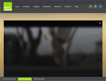 Tablet Screenshot of moranginhson.com